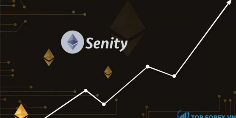 Đành giá sàn Senity chi tiết cho các nhà giao dịch