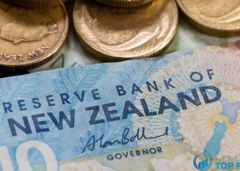 Dự báo về đô la New Zealand NZD USD có thể tăng sau dữ liệu bán lẻ quý 2 sáng sủa