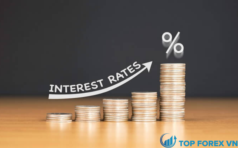 Các loại Interest rates là gì