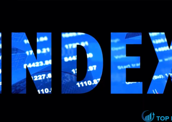 Chỉ số index là gì Các loại chỉ số chính