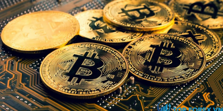 Giá Bitcoin (BTC USD) Tìm thấy hỗ trợ trên $ 45,000 sau khi giảm mạnh