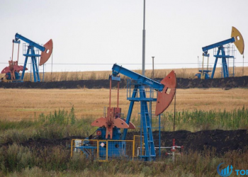 Giá dầu ổn định; OPEC + tiếp tục tăng sản lượng dần dần