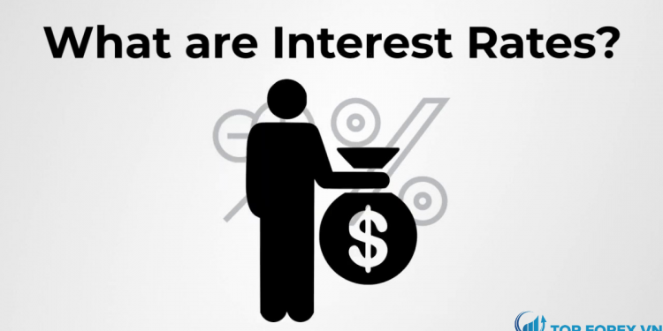 Interest rates là gì Tầm quan trọng của Interest rates