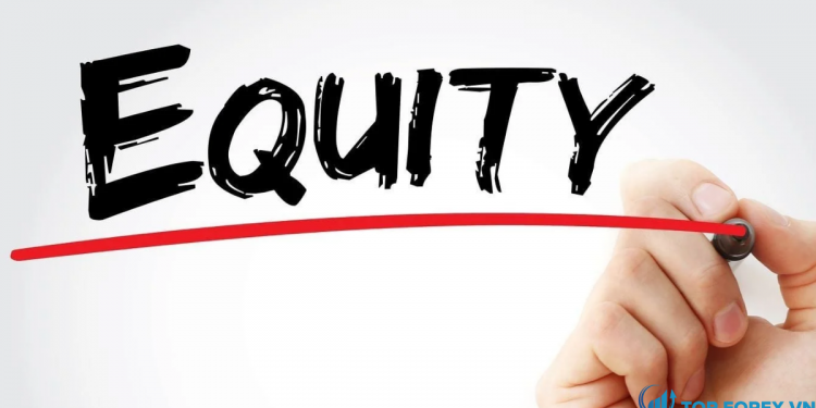 Equity là gì Tầm quan trọng của Equity là gì