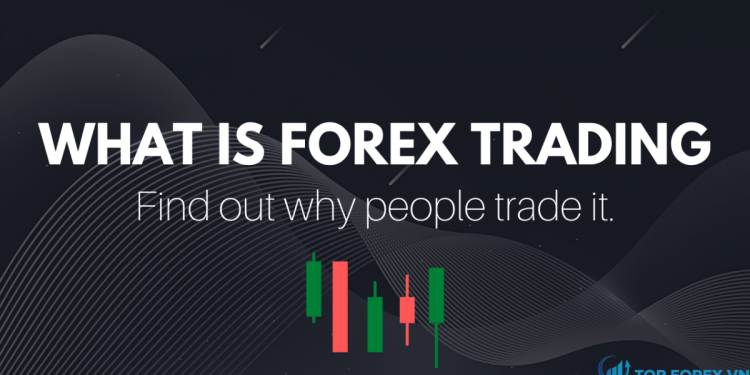 Forex trading là gì Những điều quan trọng cần biết