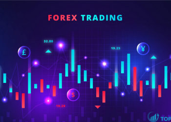 Sàn forex hợp pháp là gì Có những sàn forex hợp pháp nào tại Việt Nam