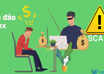 Sàn forex lừa đảo là gì Làm thế nào để xác định và tránh sàn forex lừa đảo