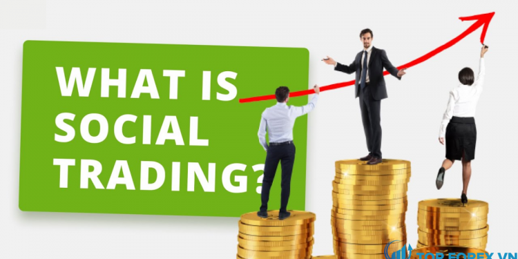 Social trading là gì Có nên sử dụng Social trading hay không