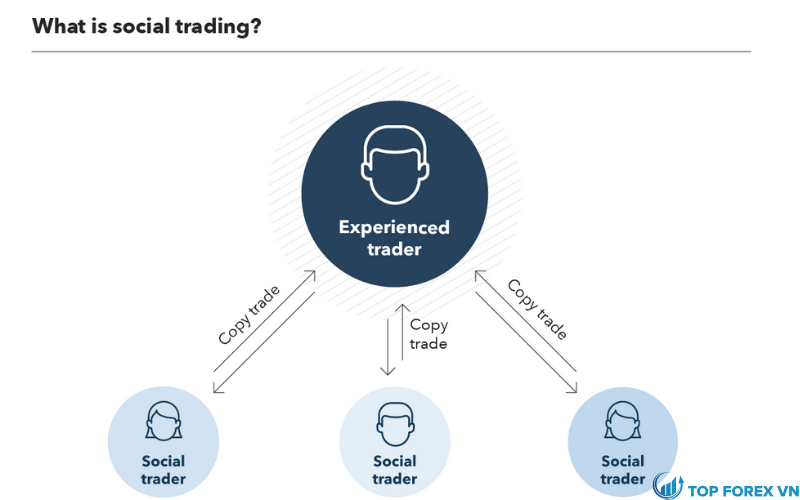 Social trading là gì
