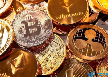 Tìm hiểu những đồng coin sắp lên sàn 2021 và tiềm năng của chúng