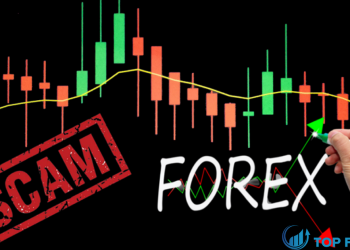 Các dấu hiệu để nhận biết sàn forex bị bắt vì lừa đảo là gì