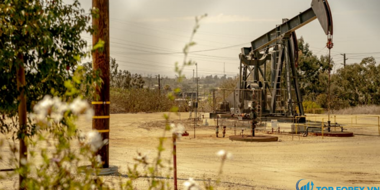 Giá dầu tăng trước cuộc họp của OPEC +