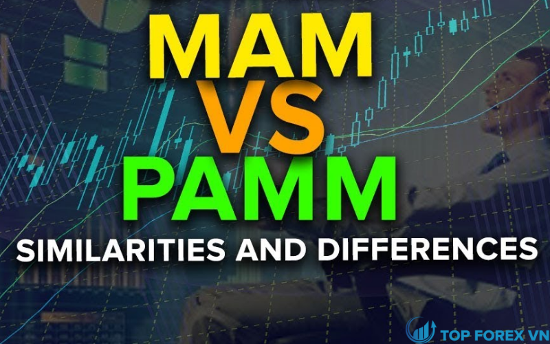Sự khác khác nhau giữa MAM và PAMM