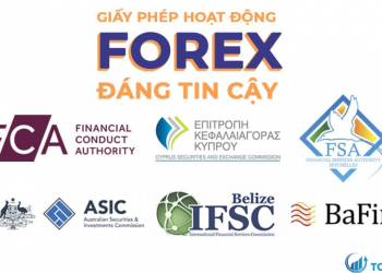 Tìm hiểu về các loại giấy phép forex phổ biến nhất hiện nay