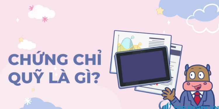 Chứng chỉ quỹ là gì Tìm hiểu cách để mua chứng chỉ quỹ