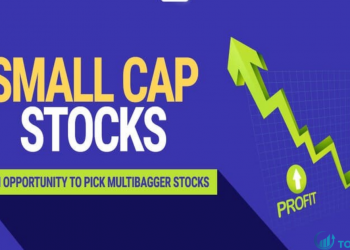 Cổ phiếu Small cap là gì Có nên đầu tư vào cổ phiếu Small cap