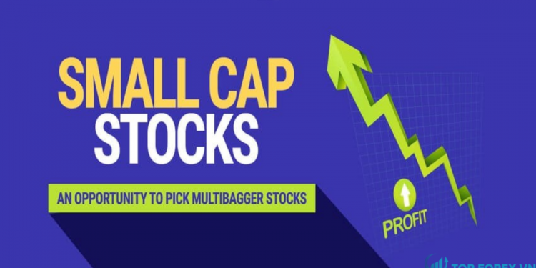 Cổ phiếu Small cap là gì Có nên đầu tư vào cổ phiếu Small cap