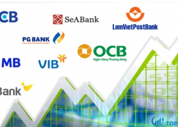 Cổ phiếu ngân hàng là gì Lý do nên đầu tư cổ phiếu ngân hàng