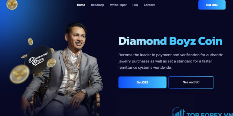 DBZ coin lừa đảo Sự thật là gì