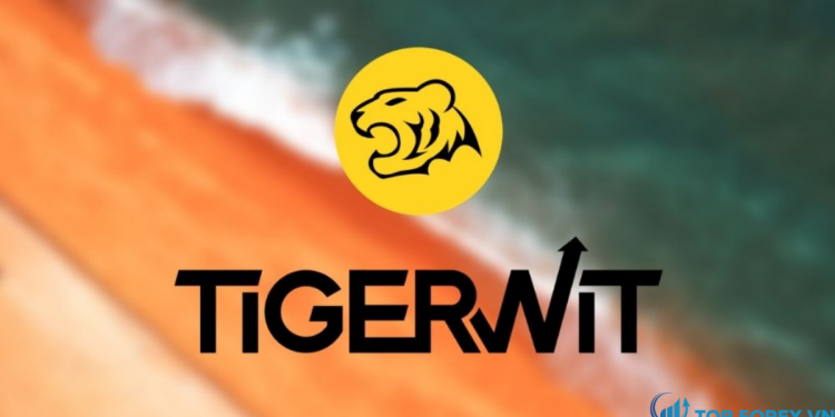 Đánh giá sàn TigerWit chi tiết nhất cho các trader