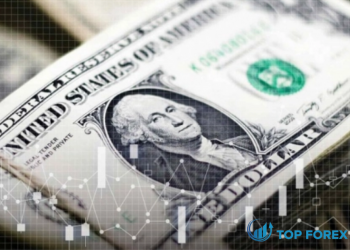 Đô la tăng cao hơn trong giao dịch mỏng do kinh tế lạc quan thận trọng