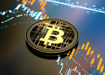 Giá Bitcoin giữ ổn định dưới 50.000 đô la trong giao dịch cuối tuần đầy biến động