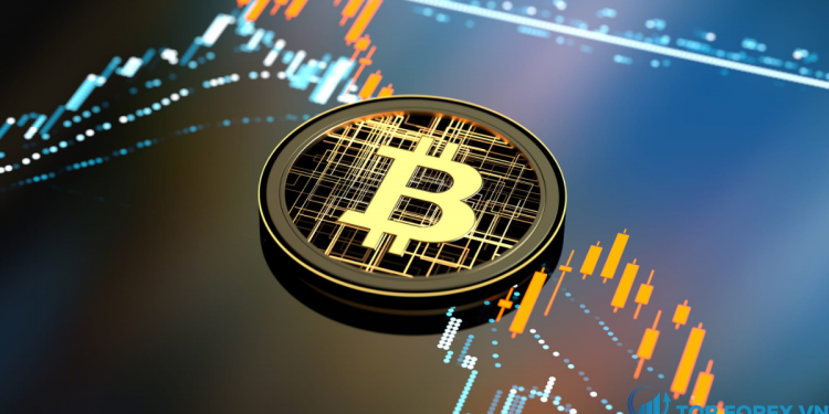 Giá Bitcoin giữ ổn định dưới 50.000 đô la trong giao dịch cuối tuần đầy biến động