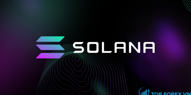 Phân tích giá Solana Giao dịch SOL USD giảm giá dưới 200 đô la