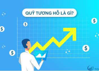 Quỹ tương hỗ là gì Tìm hiểu cách để mua quỹ tương hỗ