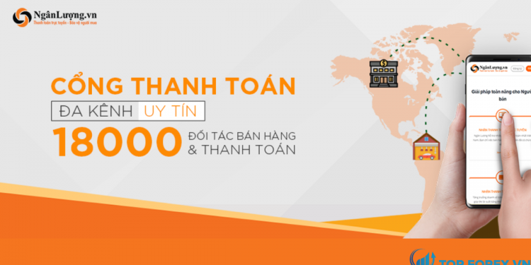 Ví Ngân Lượng là gì Hướng dẫn tại ví Ngân Lượng chỉ trong vòng 1 phút