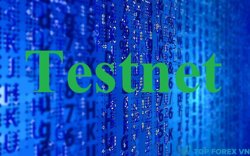 Cách hoạt động của Testnet là gì