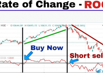 Chỉ báo ROC là gì Tìm hiểu cách sử dụng ROC