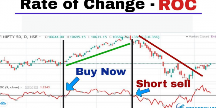 Chỉ báo ROC là gì Tìm hiểu cách sử dụng ROC