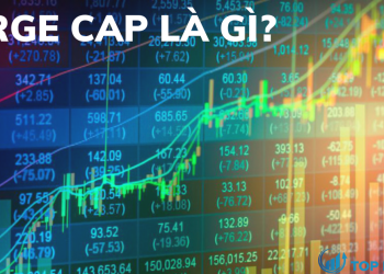 Large cap là gì Các đặc điểm của large cap