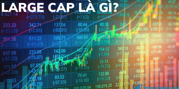 Large cap là gì Các đặc điểm của large cap
