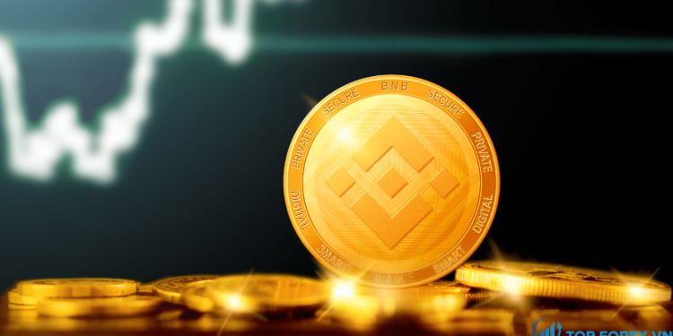 Phân tích giá Binance Coin BNB USD tăng để phục hồi giá