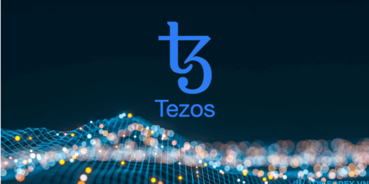 Phân tích giá Tezos XTZ USD sụt giảm; giá chạm thấp $ 2,54