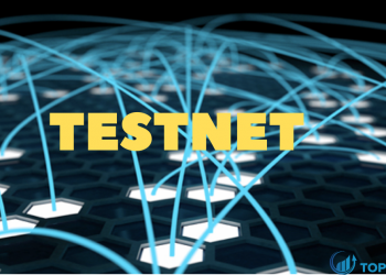 Testnet là gì Tìm hiểu tầm quan trọng của Testnet