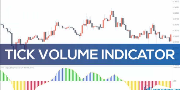 Tick Volume là gì Các mẹo khi sử dụng Tick Volume trong giao dịch