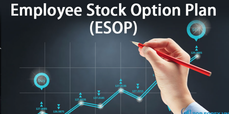 Cổ phiếu ESOP là gì Tìm hiểu cách hoạt động của ESOP