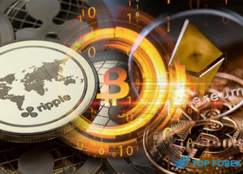 Hướng dẫn từ A đến Z cách đầu tư coin