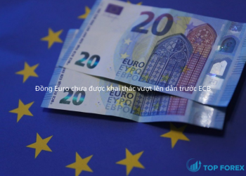 Đồng Euro chưa được khai thác vượt lên dẫn trước ECB
