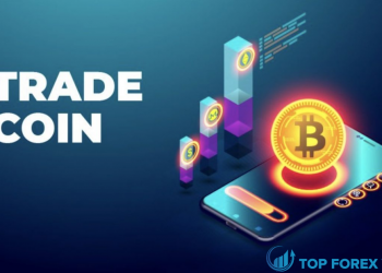 Một vài kinh nghiệm Trade Coin cơ bản cho người mới chơi