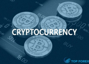 Thuật ngữ Crypto là gì? Các thuật ngữ trong Crypto bạn nên biết
