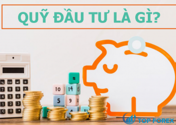 Top 7 các quỹ đầu tư tại Việt Nam lớn nhất hiện nay