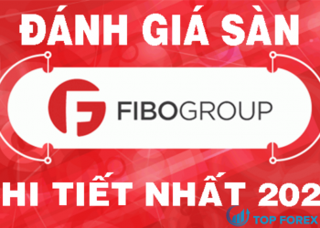 Đánh giá sàn FIBO Group mới nhất hiện nay