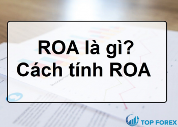 ROA là gì? Những điều cần biết về chỉ số ROA