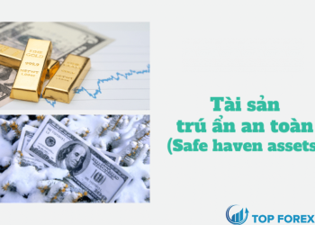 Khái niệm và đặc điểm của Safe Haven là gì?