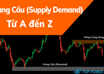 Những gì bạn chưa biết về vùng cung cầu trong Forex