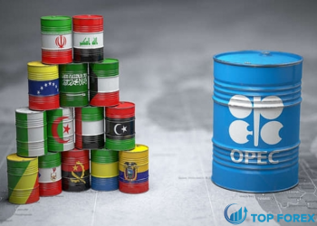 OPEC là gì? Những điều bạn chưa biết về tổ chức này